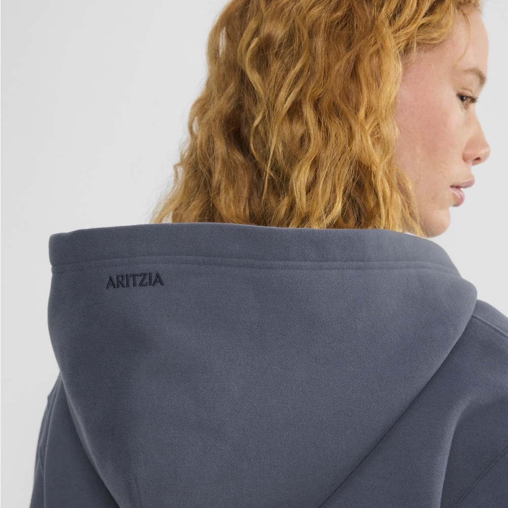 Aritzia Cozy Sweatfleece Perfect Hoodie